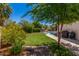 Serene backyard features lush green grass, mature trees, and a charming patio area for relaxation and enjoyment at 2312 W Temple St, Chandler, AZ 85224