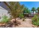 Private backyard with mature trees and desert landscaping at 2312 W Temple St, Chandler, AZ 85224
