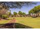 Expansive grassy park area featuring a walking path, mature shade trees, and ramadas with bench seating at 3049 E Longhorn Dr, Gilbert, AZ 85297
