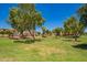 Lush green community park lined with shady trees in a well maintained community at 3440 E Southern Ave # 1088, Mesa, AZ 85204