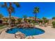 Enjoy lush tropical backyard oasis with a pool, rock waterfall feature and plenty of lounge seating at 3622 E Sparrow Pl, Chandler, AZ 85286