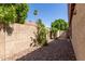 Gravel filled backyard featuring block wall, mature plants, and partial view of a palm tree at 6758 W Quail Ave, Glendale, AZ 85308