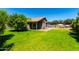 Expansive backyard with lush green lawn, covered patio, and mature trees at 723 N Joshua Tree Ln, Gilbert, AZ 85234