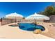 Inviting backyard pool with umbrellas, rock accents, and well-maintained landscaping at 723 N Joshua Tree Ln, Gilbert, AZ 85234