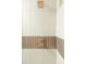 Elegant shower featuring white tile, brushed gold fixtures, and modern shower head at 236 E Minton Dr, Tempe, AZ 85282