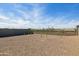 Spacious backyard featuring a gravel area with young trees and a fenced perimeter at 25471 W Fraktur Rd, Buckeye, AZ 85326