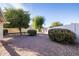 Large backyard featuring desert landscaping, mature trees, and a privacy wall at 3956 N 151St Dr, Goodyear, AZ 85395