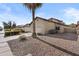 Well-maintained single-Gathering home featuring a two-car garage, desert landscaping, and a mature palm tree at 4182 W Park Ave, Chandler, AZ 85226