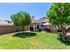 Expansive backyard featuring lush green grass, a patio, and mature trees providing shade at 5018 W Wikieup Ln, Glendale, AZ 85308