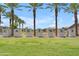 The 'Cadence' community entrance sign, framed by palm trees and lush landscaping, welcomes residents and visitors at 5637 S Parrish --, Mesa, AZ 85212