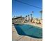 Community swimming pool, framed by mature palm trees and lounge seating, offers a serene retreat for residents at 7807 E Main St # Cc-98, Mesa, AZ 85207