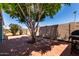 Backyard brick patio with a mature shade tree, perfect for outdoor living at 8042 W Mariposa Dr, Phoenix, AZ 85033