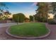 Expansive backyard with lush green lawn and mature trees, offering a serene and private outdoor space at 8604 S Oak St, Tempe, AZ 85284