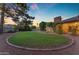 Lush green backyard with a manicured lawn, mature trees, and a charming patio, perfect for outdoor living and relaxation at 8604 S Oak St, Tempe, AZ 85284
