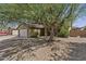 View of a single-story home featuring a desert landscaped front yard with a mature shade tree at 10727 E El Moro Ave, Mesa, AZ 85208