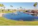 Scenic aerial view of a community lake with a fountain, surrounded by well-maintained lawns and palm trees at 2249 N Shannon Way, Mesa, AZ 85215