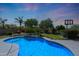 Beautiful pool with volleyball net, basketball hoop, umbrellas, and desert landscaping at 26647 N 43Rd N St, Cave Creek, AZ 85331