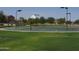 Community basketball court surrounded by lush green grass, providing a recreational amenity for residents at 28377 N Desert Native St, San Tan Valley, AZ 85143