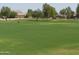 A wide green field in the community, perfect for outdoor activities and recreation at 28377 N Desert Native St, San Tan Valley, AZ 85143