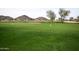 Manicured golf course green with flags marking the holes, surrounded by well-kept fairways and community homes at 28377 N Desert Native St, San Tan Valley, AZ 85143
