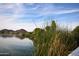 Pond with grassy shoreline on golf course offering picturesque scenery and recreational opportunities at 28377 N Desert Native St, San Tan Valley, AZ 85143