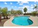 Backyard featuring a swimming pool, desert landscaping, and lush, mature trees at 4002 N San Gabriel Cir, Mesa, AZ 85215