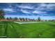 Community basketball court on a manicured lawn with shade trees on a beautiful day, perfect for outdoor activity at 4145 E Santa Fe Ln, Gilbert, AZ 85297