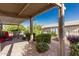 Landscaped backyard featuring a covered patio and a gravel area with greenery, providing a tranquil outdoor space at 1087 Leisure World --, Mesa, AZ 85206
