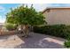 Well-maintained backyard with a mature tree, gravel, and manicured hedges, providing a serene outdoor setting at 1087 Leisure World --, Mesa, AZ 85206