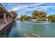 Scenic view of a pond with a fountain, bridge, koi fish, and a duck surrounded by lush greenery and blue sky at 1087 Leisure World --, Mesa, AZ 85206