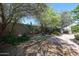 Lush backyard featuring desert landscaping, perfect for low-maintenance enjoyment at 30186 W Pinchot Ave, Buckeye, AZ 85396