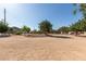 Large dirt backyard with mature trees and potential for customization at 31700 N Sunflower Way, San Tan Valley, AZ 85143