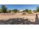Large dirt backyard with trees and potential to customize at 31700 N Sunflower Way, San Tan Valley, AZ 85143