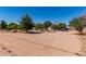 The landscaped backyard offers ample space and mature trees, providing a serene outdoor retreat at 31700 N Sunflower Way, San Tan Valley, AZ 85143