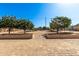 Spacious backyard with brick patio, trees, and room for customization at 31700 N Sunflower Way, San Tan Valley, AZ 85143