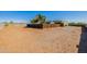 Spacious and large backyard, presenting a blank canvas, enclosed by a wooden fence, and lush palm trees at 38106 N 2Nd Ln, Phoenix, AZ 85086