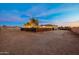 Large backyard with ample space, mature trees, and a fence, offering privacy and room to roam at 38106 N 2Nd Ln, Phoenix, AZ 85086