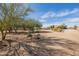 Beautiful home exterior with desert landscaping, set against a backdrop of mature trees at 38106 N 2Nd Ln, Phoenix, AZ 85086