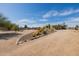 Beautiful home with desert landscaping, featuring native plants and thoughtful design at 38106 N 2Nd Ln, Phoenix, AZ 85086