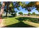 Expansive backyard with lush lawn, mature trees, and metal fencing at 4145 W Banff Ln, Phoenix, AZ 85053