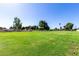 Expansive green pasture, ideal for livestock or recreational activities at 4145 W Banff Ln, Phoenix, AZ 85053