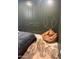Cozy bedroom featuring a beanbag chair, plush rug, and stylish baseball decor at 4824 S Brice --, Mesa, AZ 85212