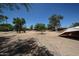 Oversized desert backyard featuring xeriscaping, mature trees and space for outdoor activities at 6249 E Larkspur Dr, Scottsdale, AZ 85254