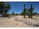Desert backyard featuring a variety of native cacti and plants, creating a serene outdoor space at 6249 E Larkspur Dr, Scottsdale, AZ 85254