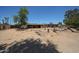 Expansive backyard featuring mature trees, a covered patio, and desert landscaping at 6249 E Larkspur Dr, Scottsdale, AZ 85254