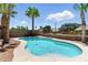 Backyard swimming pool offers a refreshing escape with its sparkling water, complemented by mature palm trees at 6967 W Irma Ln, Glendale, AZ 85308