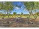 Outdoor community gathering spot with firepit, chairs, and lush greenery for relaxing and socializing at 10650 E Palladium Dr, Mesa, AZ 85212