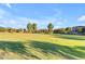 The community park is lush with green grass and mature trees providing shade at 10650 E Palladium Dr, Mesa, AZ 85212