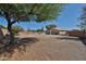 Large backyard featuring gravel landscaping, mature trees, block wall, and a home view at 12117 N 127Th Dr, El Mirage, AZ 85335