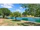Community pond and grassy hill with shade trees at 17115 N Larkspur Ln, Surprise, AZ 85374